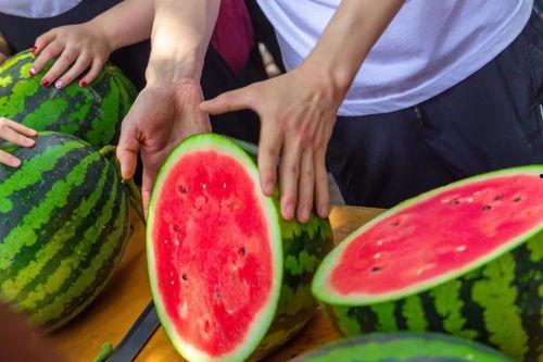 盛世东方曹县免费吃瓜,免费瓜果盛宴,共享盛世东方风采 第1张 盛世东方曹县免费吃瓜,免费瓜果盛宴,共享盛世东方风采 第1张