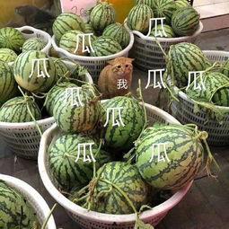 娱乐早吃瓜,揭秘明星幕后故事  第3张